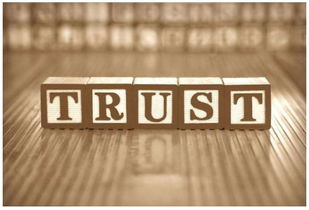 離岸資產(chǎn)規(guī)劃入門(mén) 巧用信托保護(hù)您的美國(guó)房產(chǎn) 李娟房地產(chǎn)經(jīng)紀(jì)