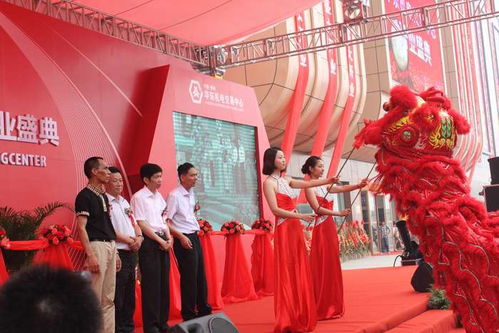 新鄉禮儀、模特與翻譯服務綜合指南